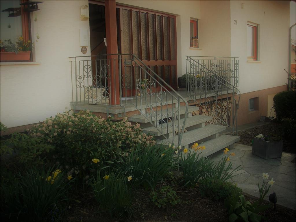Ferienwohnung Lahntal/Taunus Huttenberg Buitenkant foto