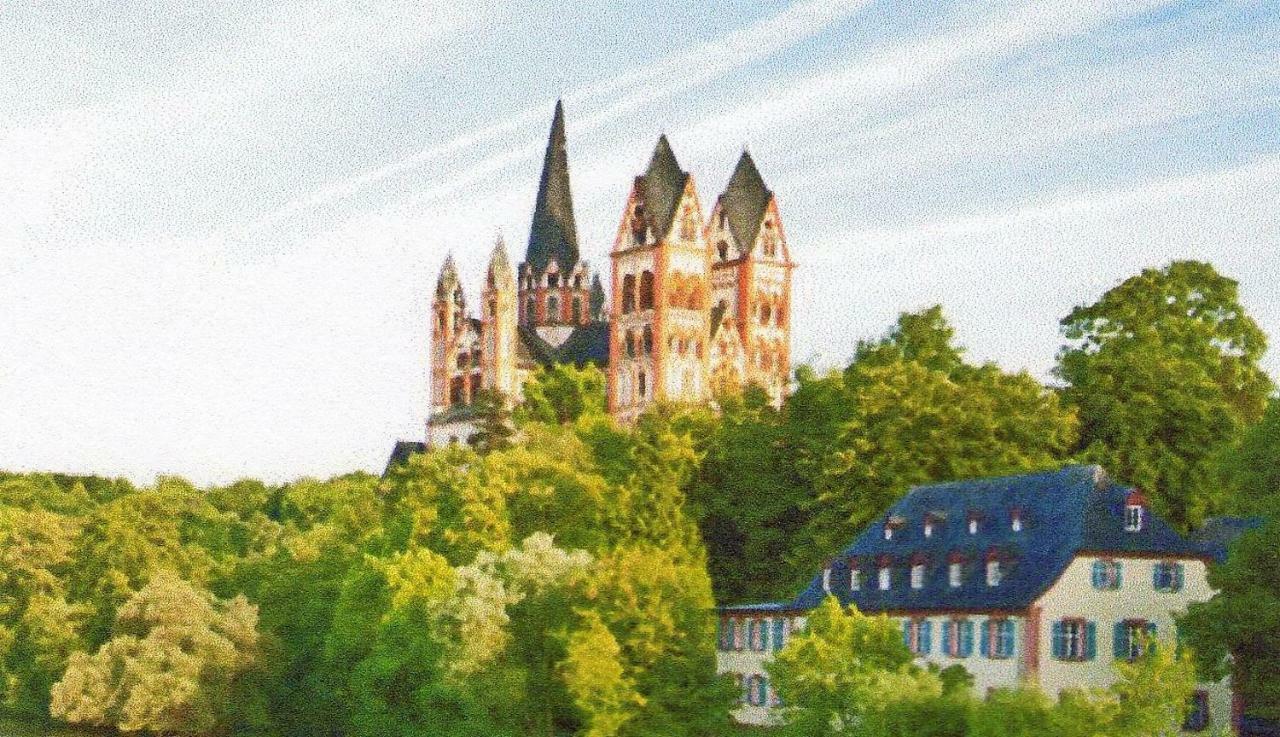 Ferienwohnung Lahntal/Taunus Huttenberg Buitenkant foto